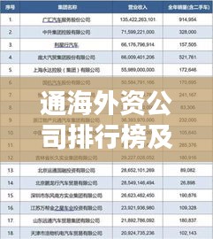 通海外资公司排行榜及影响力深度解析