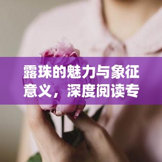 培训课程 第14页