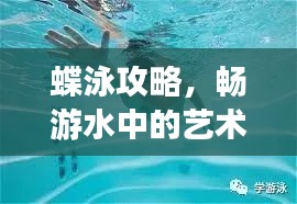 蝶泳攻略，畅游水中的艺术世界