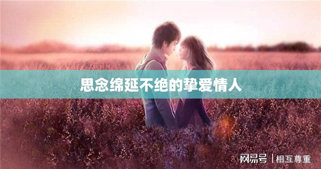 联系我们 第15页