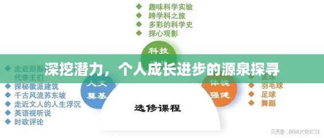 深挖潜力，个人成长进步的源泉探寻