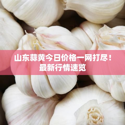 手舞足蹈