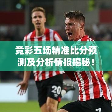 联系我们 第11页