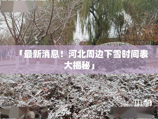 联系我们 第8页