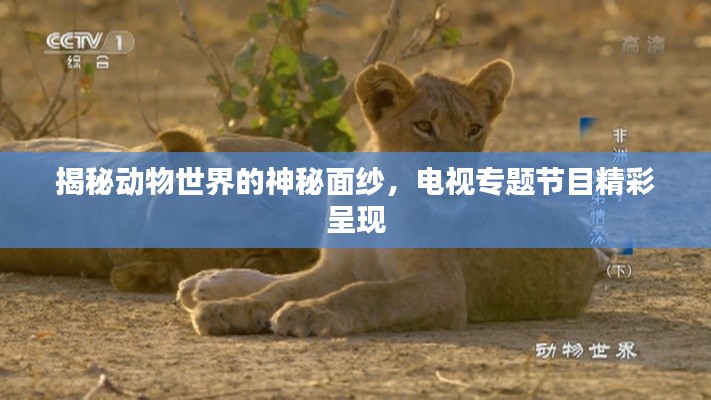 培训课程 第7页