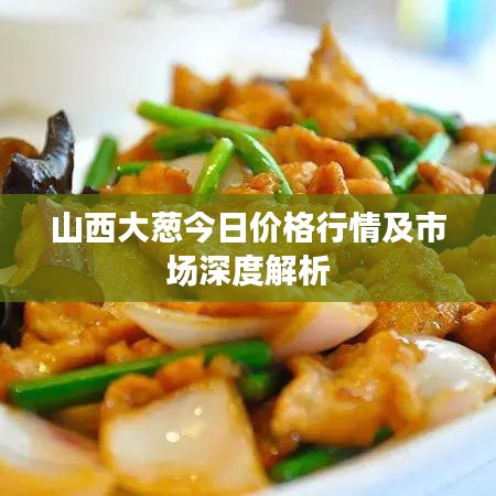 山西大葱今日价格行情及市场深度解析