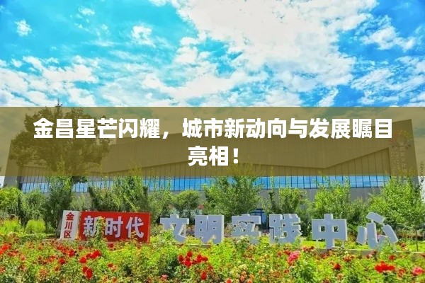 一本正经