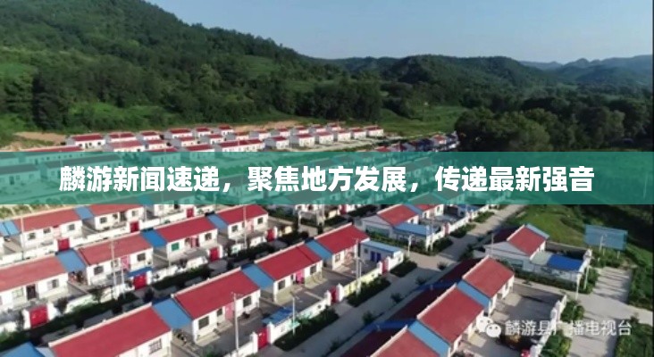 麟游新闻速递，聚焦地方发展，传递最新强音